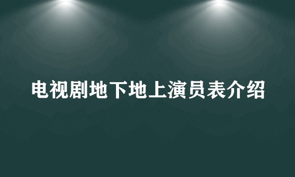 电视剧地下地上演员表介绍