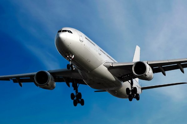 坐飞机的电话号码是多少？