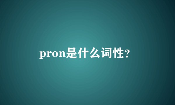 pron是什么词性？