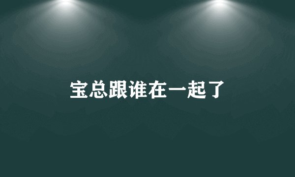 宝总跟谁在一起了