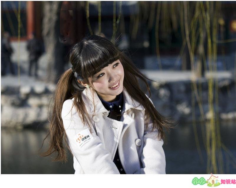 洪荒风行者的小说目录