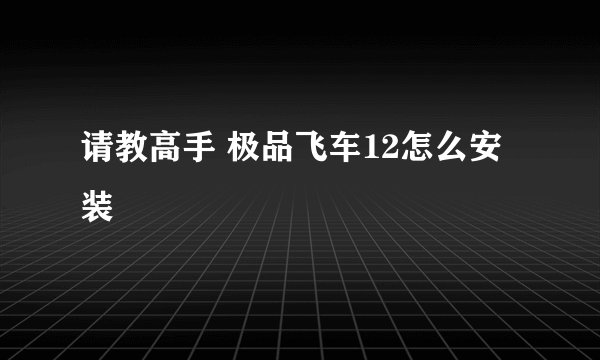 请教高手 极品飞车12怎么安装