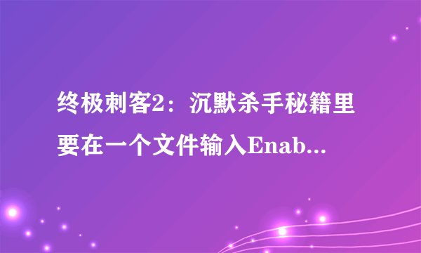终极刺客2：沉默杀手秘籍里要在一个文件输入EnableCheats 1，哪个文件在哪？