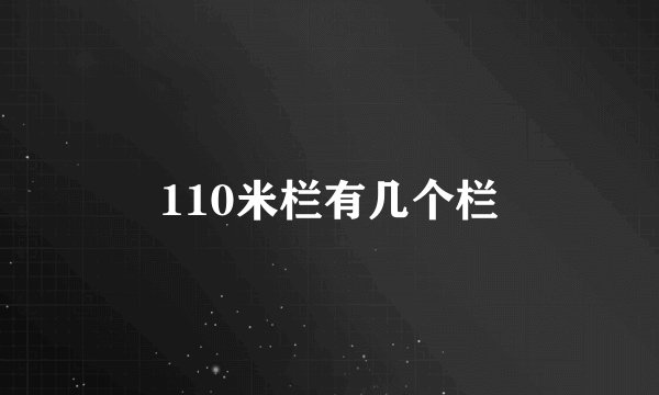 110米栏有几个栏