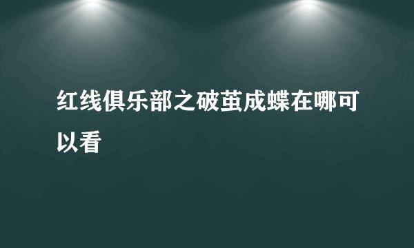红线俱乐部之破茧成蝶在哪可以看