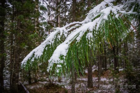 切尔诺贝利日记高清电影