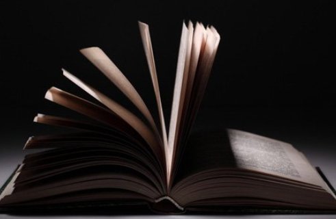 海棠文学是什么？