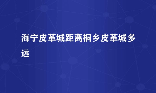 海宁皮革城距离桐乡皮革城多远