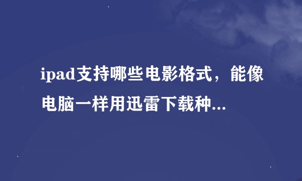 ipad支持哪些电影格式，能像电脑一样用迅雷下载种子文件吗？