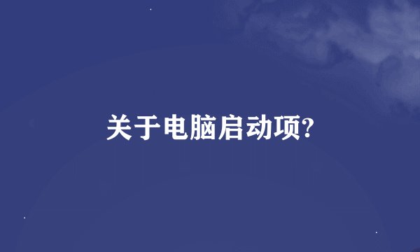 关于电脑启动项?
