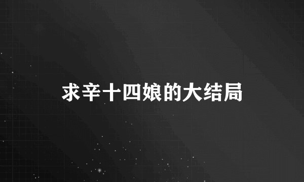 求辛十四娘的大结局