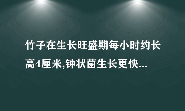 竹子在生长旺盛期每小时约长高4厘米,钟状菌生长更快,生长旺盛期每小时约长高25厘米。如果它们者p处