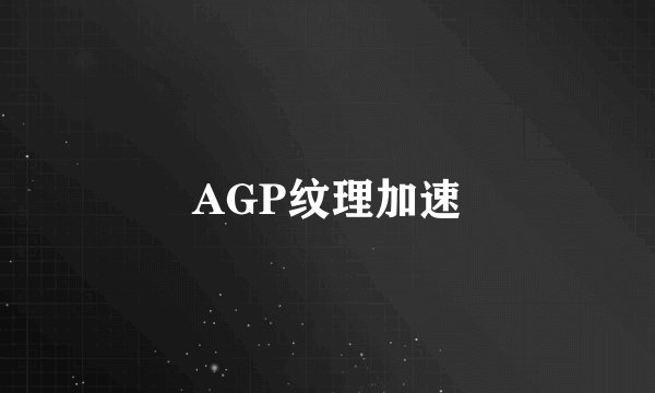 AGP纹理加速