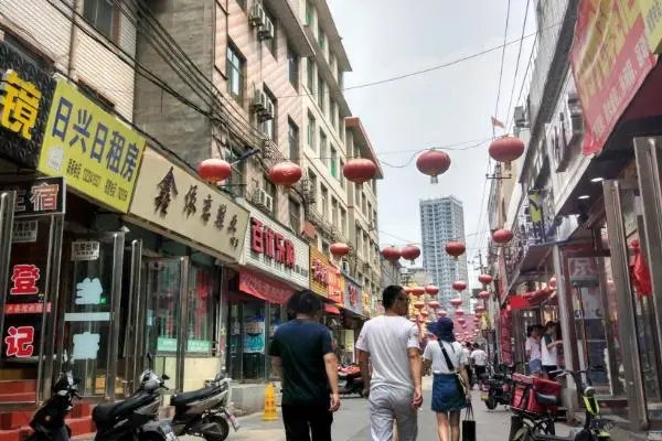 财政收入靠罚款，“苏大强”被罚后收入大涨，当地财政局作何回应？