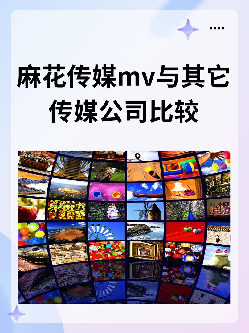 麻花传媒mv与其它传媒公司比较