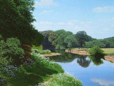 我本善良下一句经典语录有哪些？