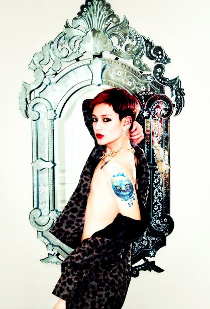 杨楠峰的职业经历