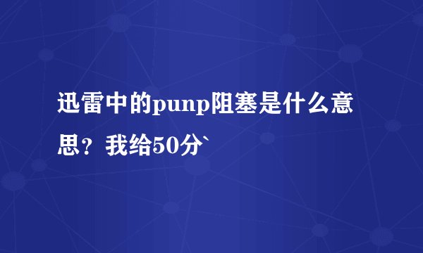 迅雷中的punp阻塞是什么意思？我给50分`