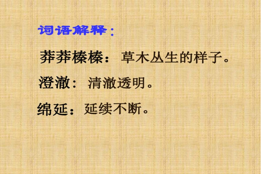 莽莽读音