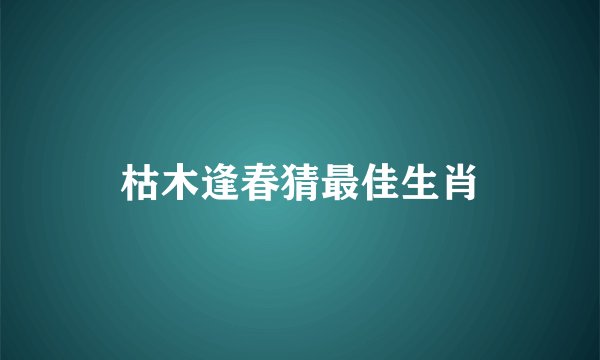 枯木逢春猜最佳生肖