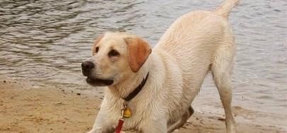 什么叫虚张声势？