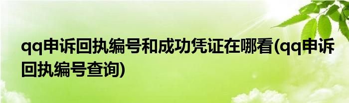 qq申诉回执编号和成功凭证在哪看(qq申诉回执编号查询)