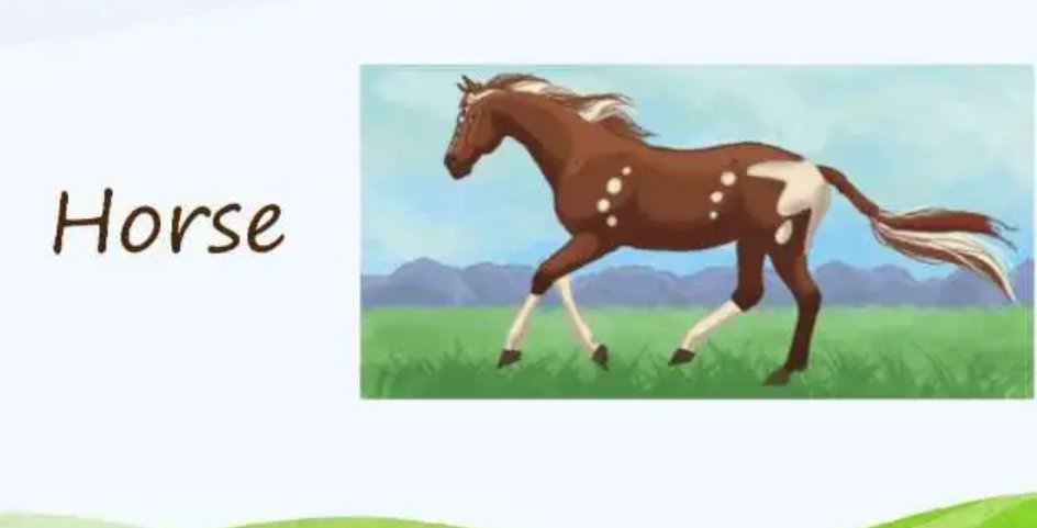 horses怎么读音
