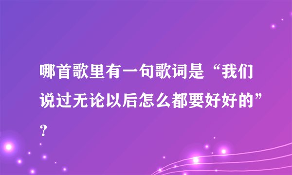 哪首歌里有一句歌词是“我们说过无论以后怎么都要好好的”？