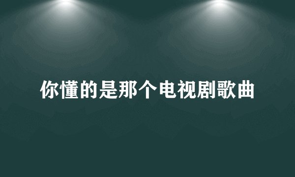 你懂的是那个电视剧歌曲