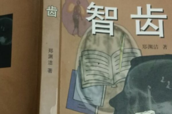 郑渊洁的童话作品