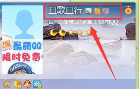 qq靓号靓字图标在哪儿显示？