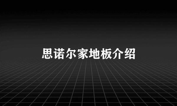 思诺尔家地板介绍