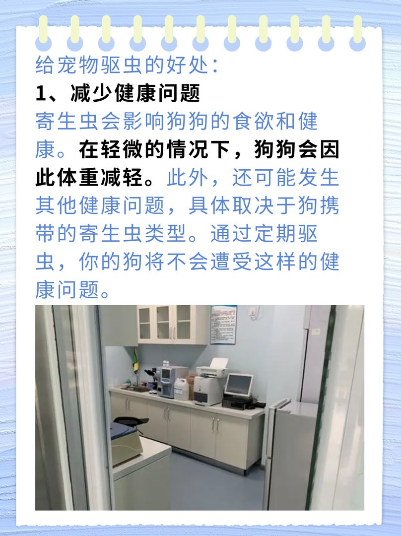 宠物驱虫需要多少钱？