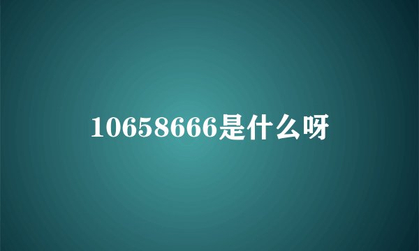 10658666是什么呀