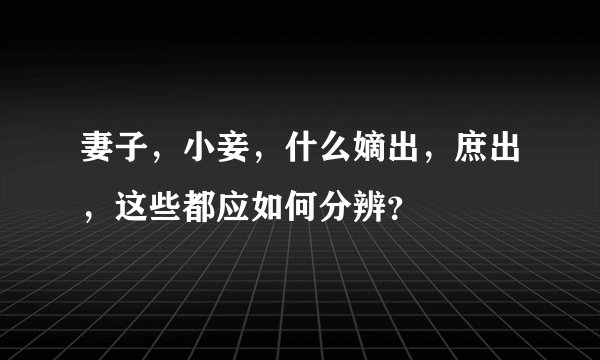 妻子，小妾，什么嫡出，庶出，这些都应如何分辨？