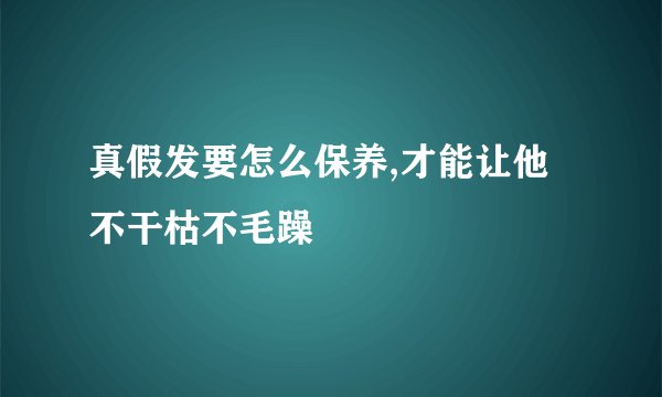 真假发要怎么保养,才能让他不干枯不毛躁