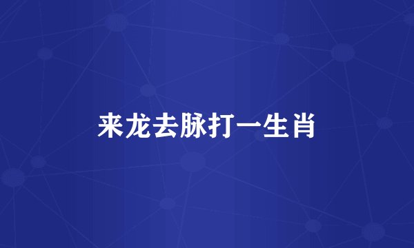 来龙去脉打一生肖