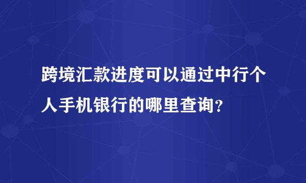 跨境汇款进度可以通过中行个人手机银行的哪里查询？