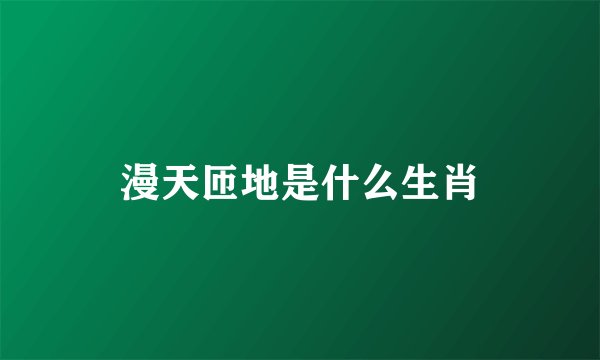 漫天匝地是什么生肖