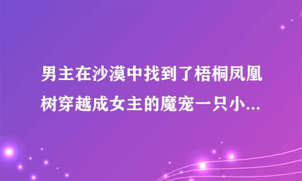 男主在沙漠中找到了梧桐凤凰树穿越成女主的魔宠一只小鸟的小说。梧桐树里有各种鸟的魂魄