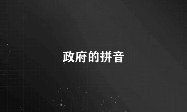 政府的拼音