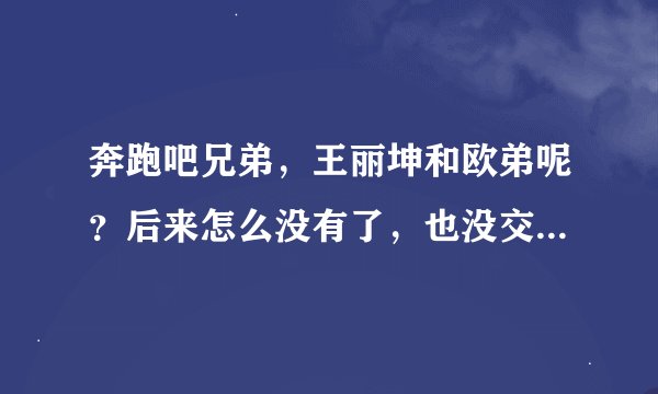 奔跑吧兄弟，王丽坤和欧弟呢？后来怎么没有了，也没交代一下。