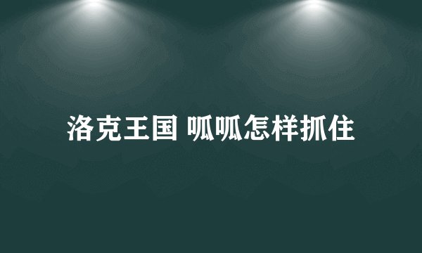 洛克王国 呱呱怎样抓住