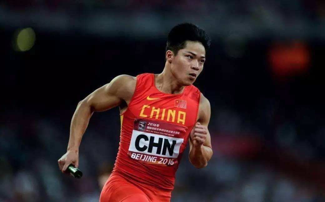 苏炳添是哪里人