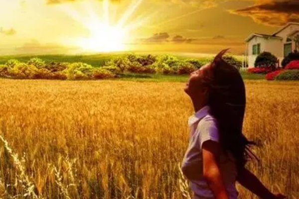 纵容是什么意思