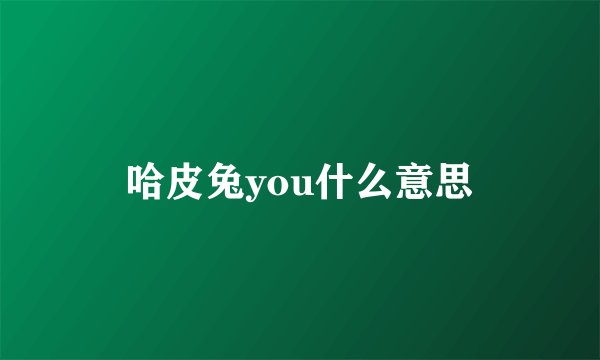 哈皮兔you什么意思