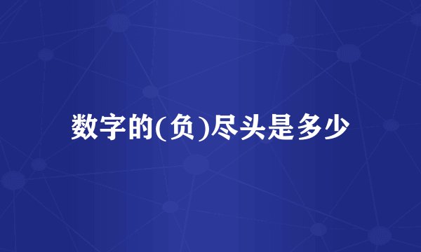 数字的(负)尽头是多少
