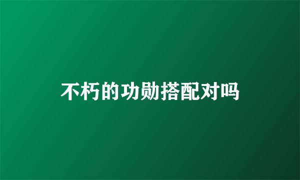 不朽的功勋搭配对吗