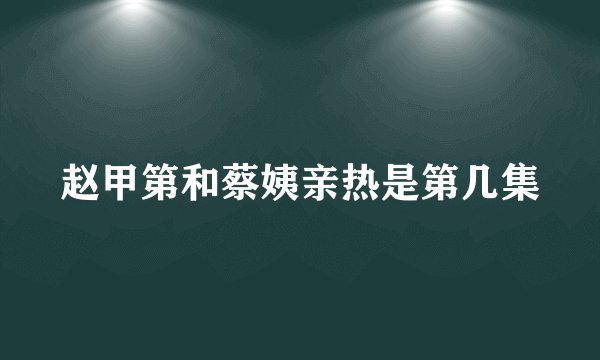 赵甲第和蔡姨亲热是第几集