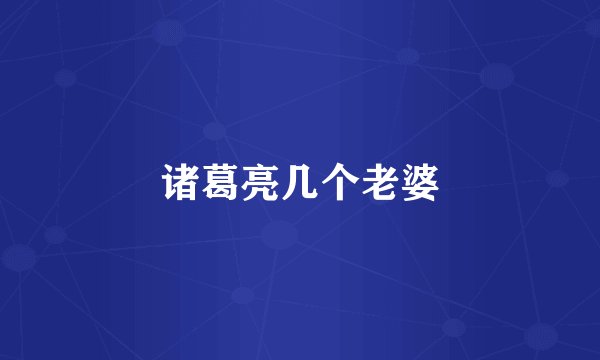 诸葛亮几个老婆